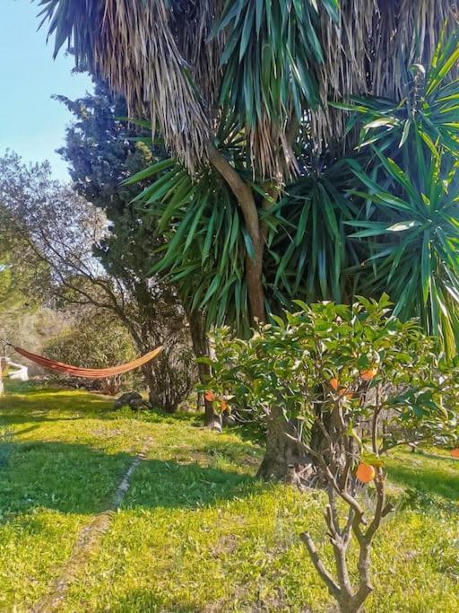 Sombrerocordobe Villa Córdoba Eksteriør bilde